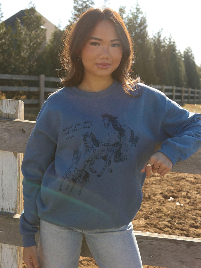 RIDE A FAST HORSE SWEATSHIRT